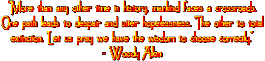 Woody Allen Quote