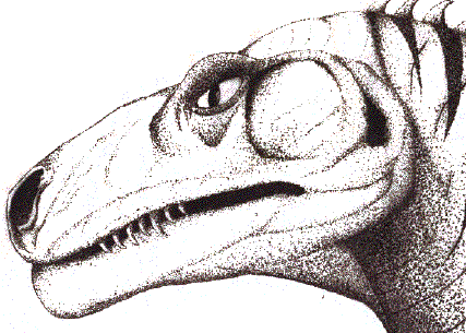 Dinosaur head