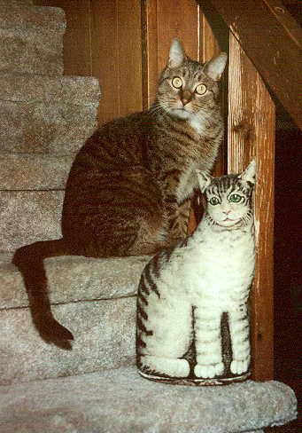 Which is the real kitty?