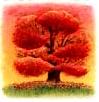 My Season is Autumn