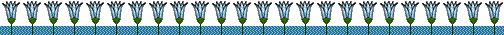 barra lotos.gif (3247 bytes)