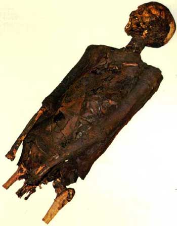 momia 6.jpg (14823 bytes)