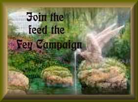 Feed the Faeries