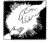 mani_.gif (868 byte)