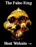 The Paleo Ring's NextWebsite