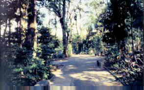 �rea Verde
