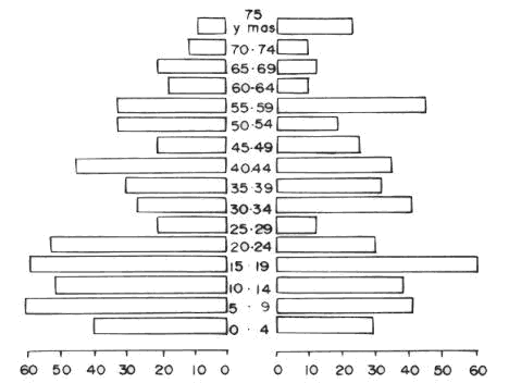 piramide.gif (13844 bytes)