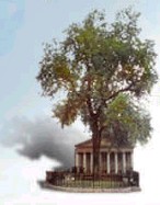 Arbre de Gernika i Parlament