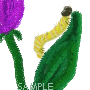 The Mary Ward Speech Friendly Caterpillar Award