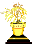 Fern d'Or Award