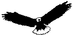 [eagle]