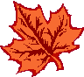 [maple leaf]
