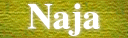 Naja