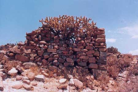 Muro con pilastra