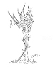 FemTree