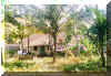 The back of the St. John's Bungalow