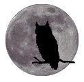 Owl Moon
