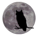 Owl Moon