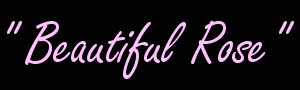 [Beautiful Rose Banner]