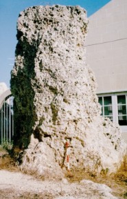 Qala menhir