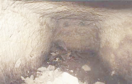 View of Tomb Chamber (unexcavated but already disturbed)