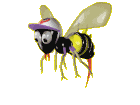 bee.gif (36786 bytes)