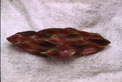 Fire Brooch