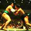 sumo wrestlers