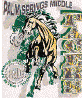 Pacer.gif (219745 bytes)