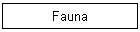 Fauna