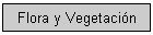 Flora y Vegetacin