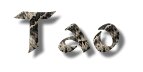 Tao Links