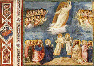 albani2.gif (105566 bytes)