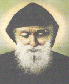 sharbel.gif (25680 bytes)