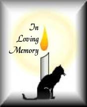 It is sad but true what some humans will do.  Click here to help these little kittens who had no defense.