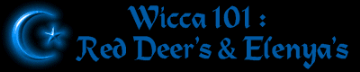 Wicca 101 Reddeer & Elenya's is a great source of information for the beginning seeker