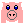 I love pigs!