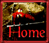 birdhome.gif - 6.71 K