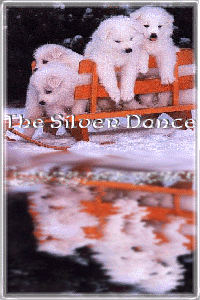 sildanceban.gif - 30.67 K