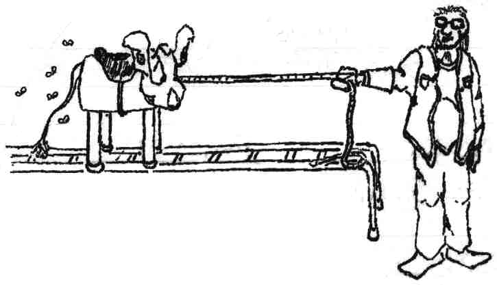 Pulling The Wooden Cow