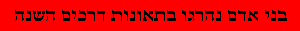 בני אדם נהרגו בתאונות דרכים השנה