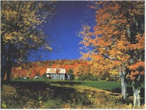 October Colors 