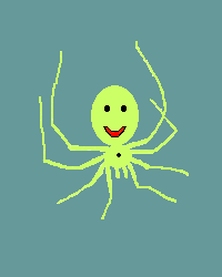 Spider C