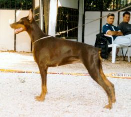 Conny