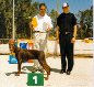 Best Puppy in Breed Show