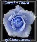 Carmi's Touch of Class Award