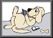 Rudy and Teddy's Web Page