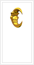 1st Place Award from Patricia's World - Argentina