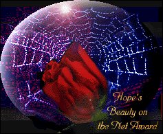 Hope's Beauty on the Net Award