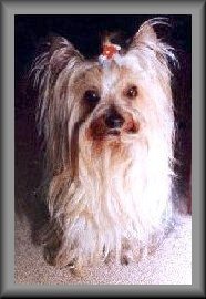 Rudy